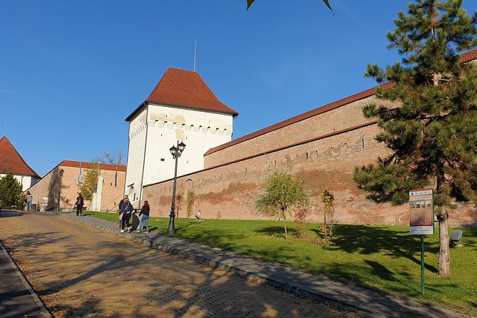 Targu Mures 3 Hours Walking Tour - Exploring Targu Mures History