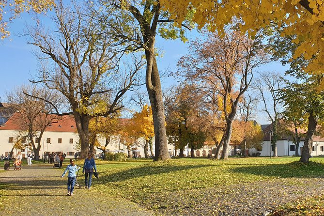 Targu Mures 3 Hours Walking Tour - Tour Highlights for Locals