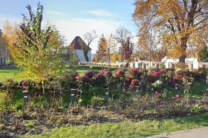 Targu Mures 3 Hours Walking Tour - Flexible Booking and Cancellation Policy