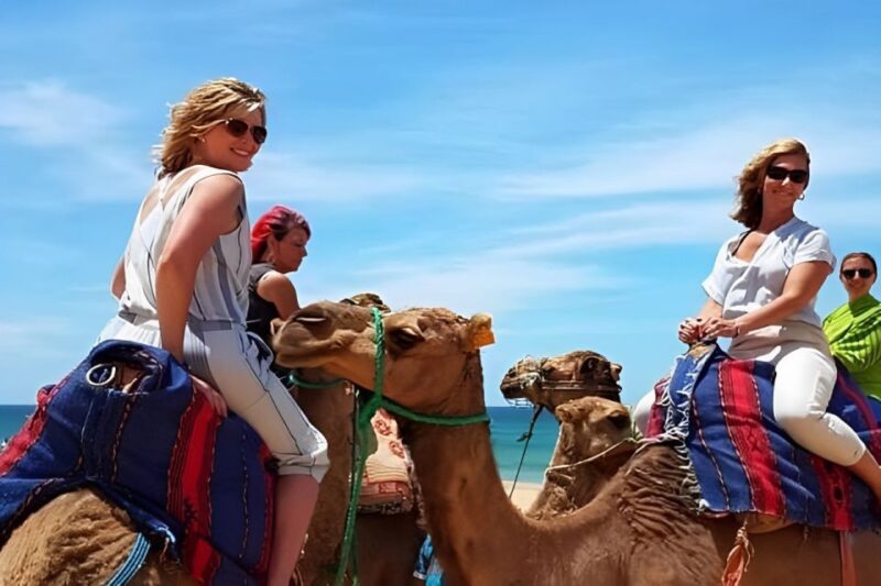Tarifa/Algeciras: Tangier Private Day Tour With Ferry Ticket - Camel Ride on Achakar Beach