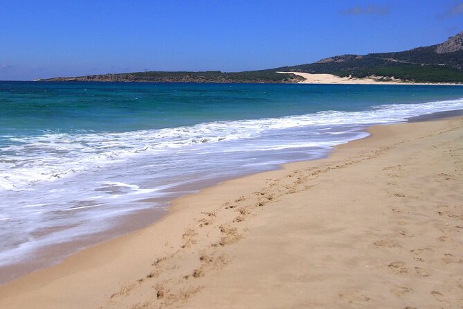 Tarifa and Bolonia , Full-Day Food and History Tour From Marbella - Exploring Tarifa