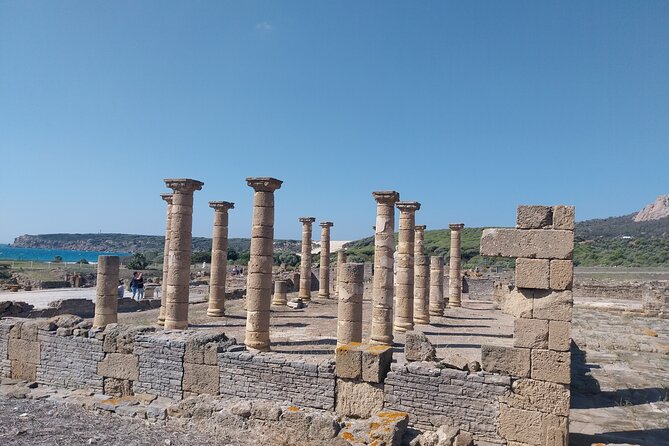 Tarifa and Bolonia , Full-Day Food and History Tour From Marbella - Culinary Experiences
