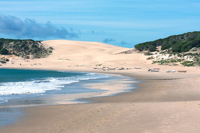 Tarifa and Bolonia , Full-Day Food and History Tour From Marbella - Accessibility and Cancellation