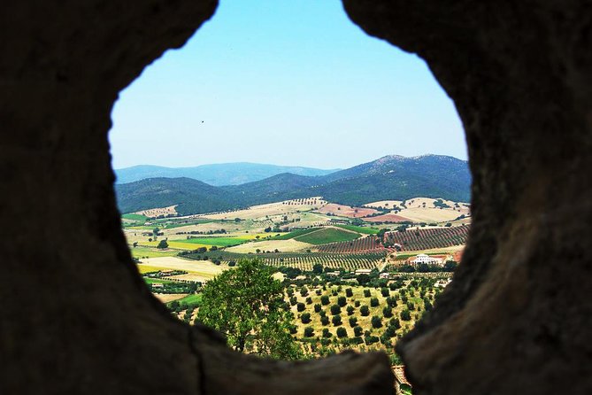 Tarots Garden And Capalbio Tour - Tour Operator Response