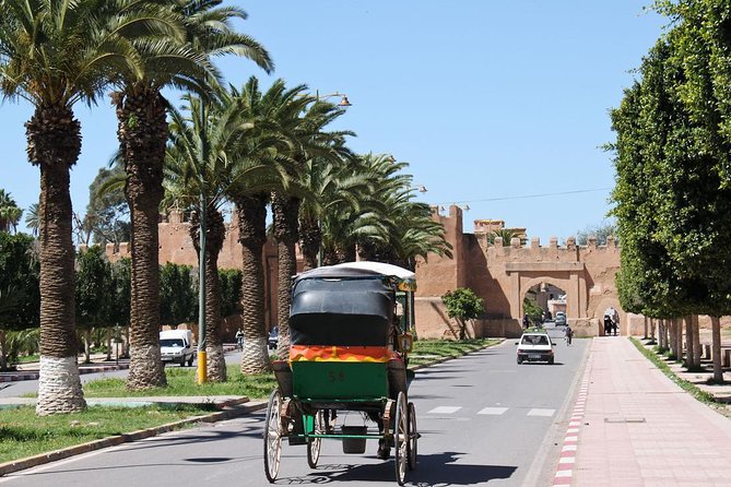 Taroudant and Tiout Day Trip From Agadir With Lunch - Lunch in Scenic Tiout