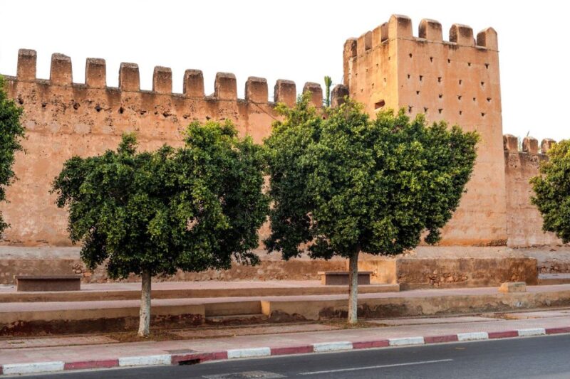 Taroudant and Tiout Oasis Trip With Lunch - Tiout Highlights