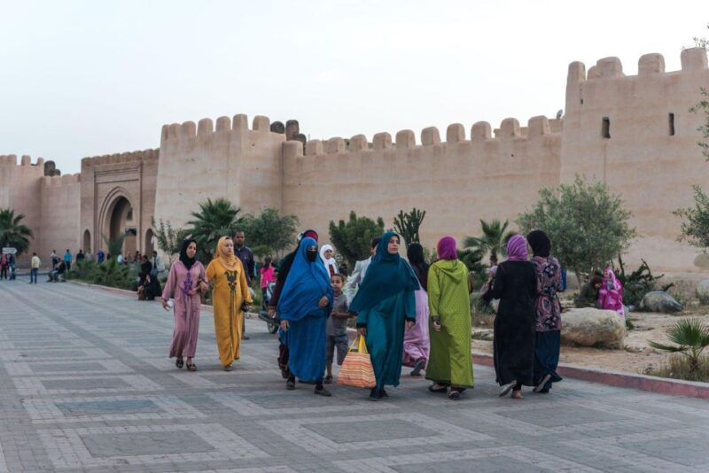 Taroudant and Tiout Oasis Trip With Lunch - Experience Highlights