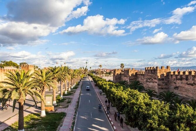 Taroudant and Tiout Oasis With Lunch - Witnessing Argan Oil Production