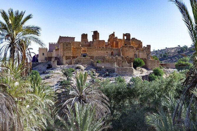 Taroudant and Tiout Oasis With Lunch - Scenic Stop in Orange Groves