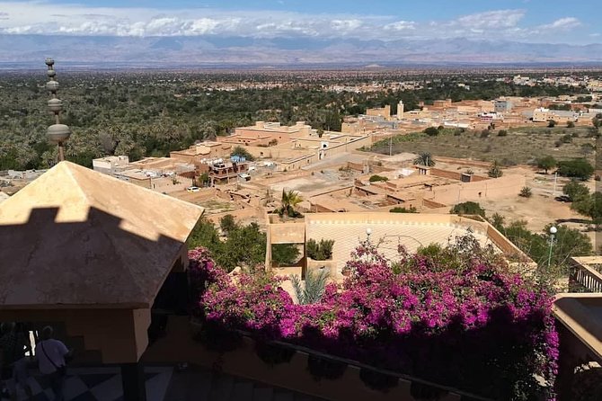 Taroudant the Berber City +The Oasis of Tiout Village - Booking Information