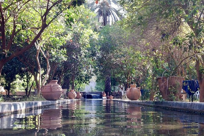 Taroudant the Berber City +The Oasis of Tiout Village - Highlights of the Tour