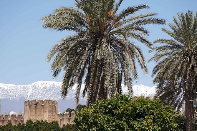 Taroudant The Old Fortified City Private Half Day - Reviews and Ratings