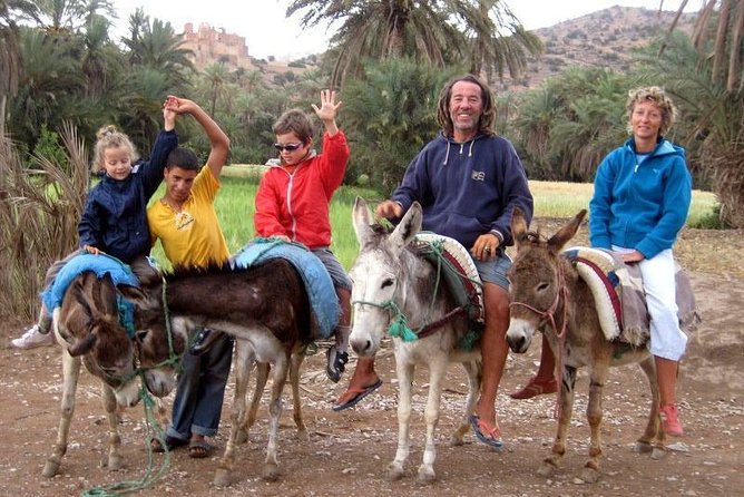 Taroudant & Tiout Guided Day Trip Including Lunch. - Reviews Summary