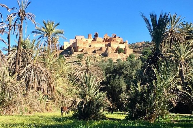 Taroudant Tiout With Meal 1 Day - Local Guides and Experiences