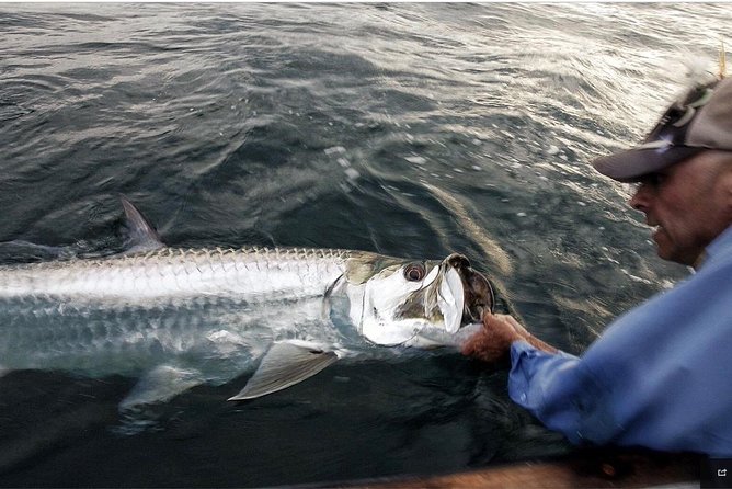 Tarpon Fishing Tour (Light Refreshments Offered on Board)) - Inclusions