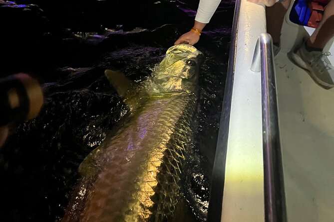 Tarpon & Snook Fishing Charter in Ft. Lauderdale - Reviews and Ratings