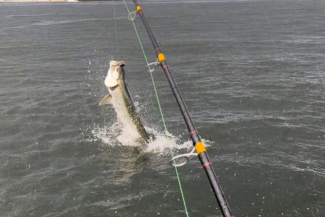 Tarpon & Snook Fishing Charter in Ft. Lauderdale - Exploring Fort Lauderdale