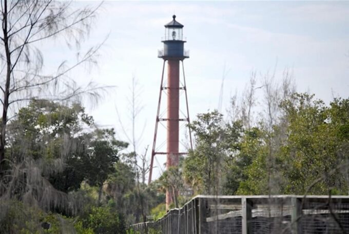 Tarpon Springs: Evening Dolphin Cruise - Cruise Duration and Price