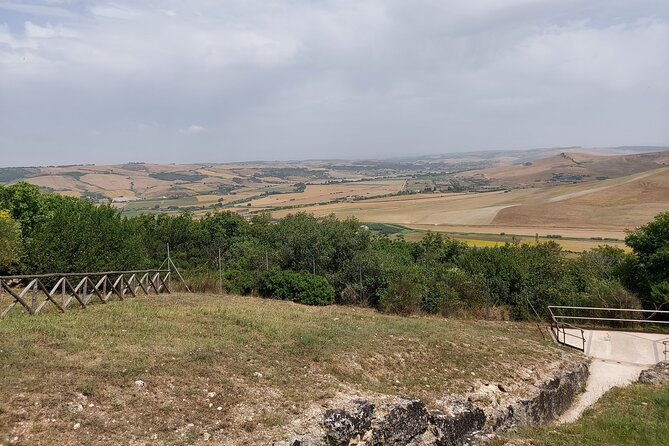 Tarquinia: Private Tour of the Etruscan Necropolis - Navigating the Tarquinia Site