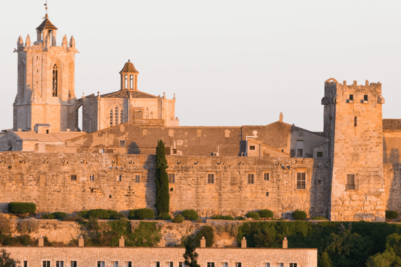 Tarragona: First Discovery Walk and Reading Walking Tour - Important Information
