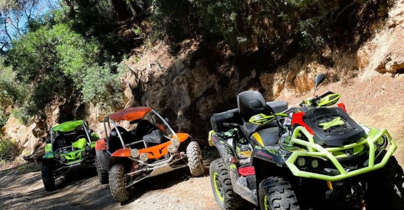 Tarragona: Quad and Buggy Adventure Tour - Tour Options