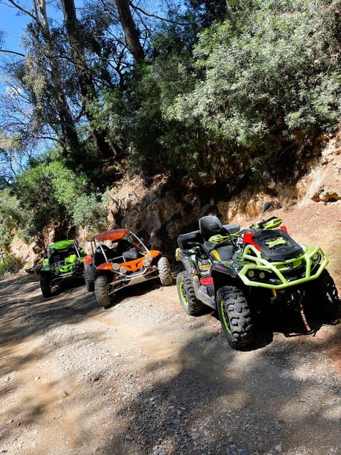 Tarragona: Quad and Buggy Adventure Tour - Tour Inclusions
