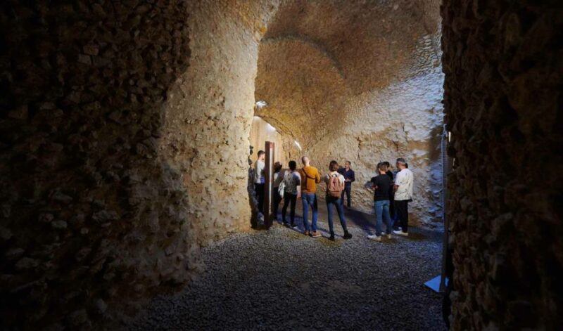 Tarragona: Roman Heritage Guided Walking Tour - Meeting Point and Accessibility