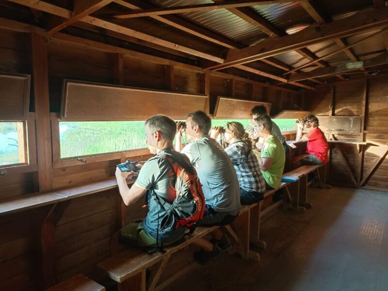 Tarragona: Southern Delta Birdwatching Private Tour - Key Points