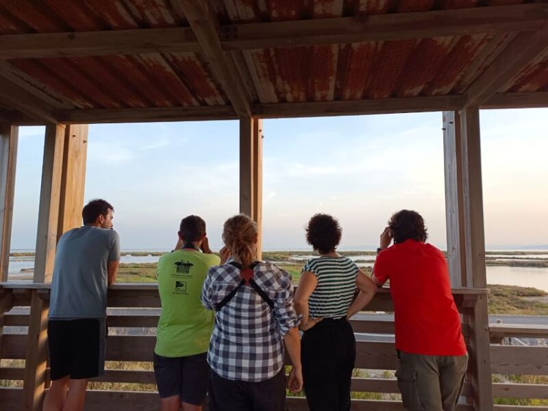 Tarragona: Southern Delta Birdwatching Private Tour - Tour Itinerary