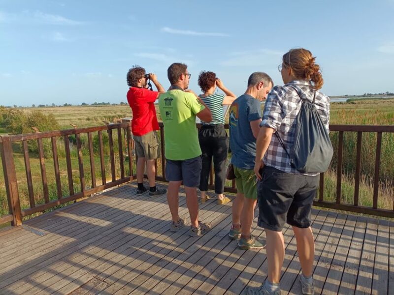 Tarragona: Southern Delta Birdwatching Private Tour - Inclusions