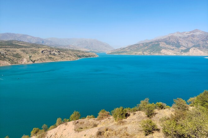 Tashkent Mountain Tour - Pricing and Booking