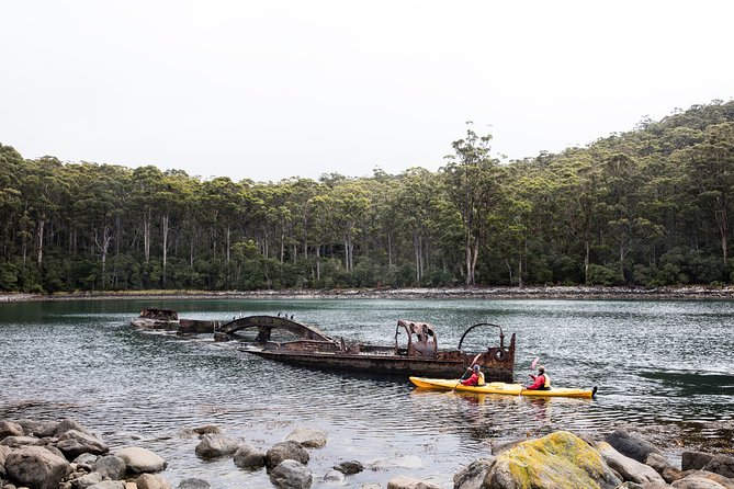Tasman Peninsula Full Day Kayaking Tour - Inclusions and Logistics