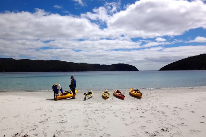 Tasman Peninsula Full Day Kayaking Tour - Health and Safety Requirements