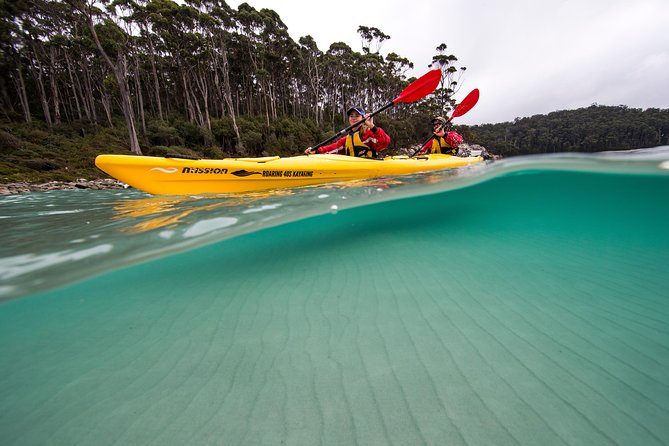 Tasman Peninsula Full Day Kayaking Tour - Kayaking Experiences