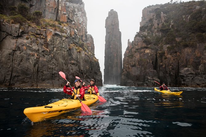 Tasman Peninsula Full Day Kayaking Tour - Wildlife Encounters