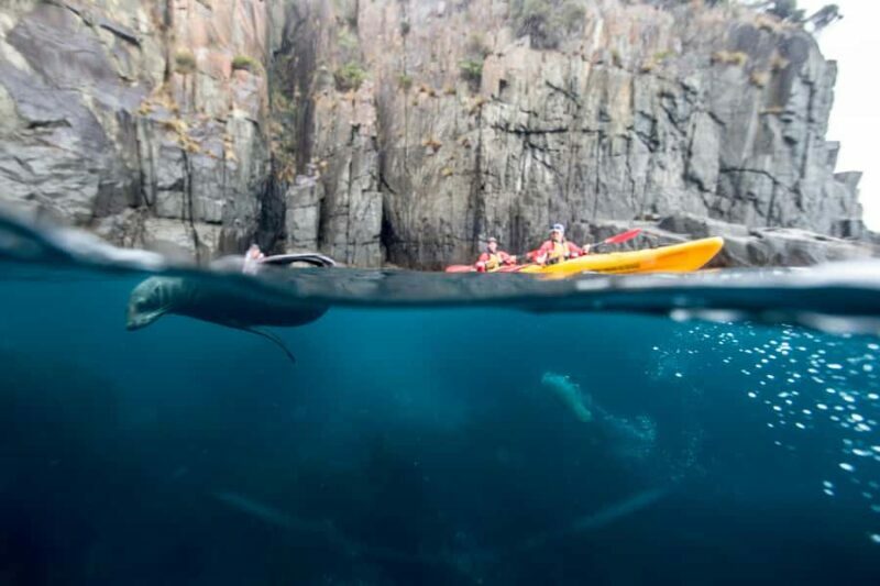 Tasman Peninsula Full-Day Sea Kayak Excursion - Tasman Peninsula Full-Day Sea Kayak Excursion: A Closer Look