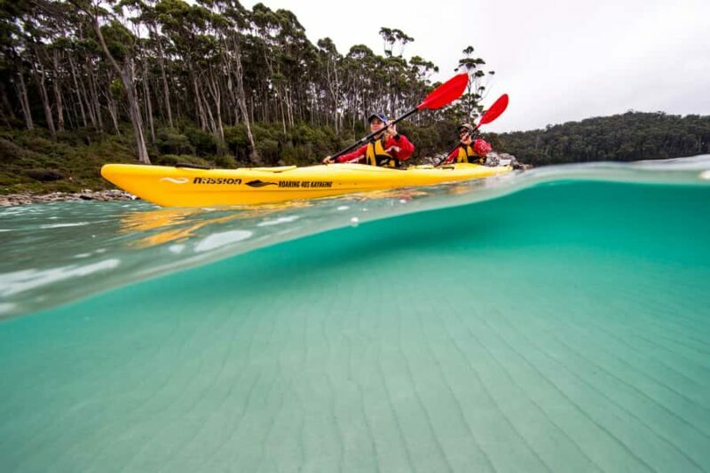 Tasman Peninsula Full-Day Sea Kayak Excursion - Practical Details and Value