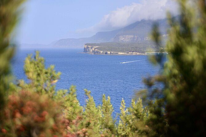 Tasman Peninsula Small-Group Guided Tour From Hobart - A Full-Day Journey into Tasmania’s Coastal Wonders