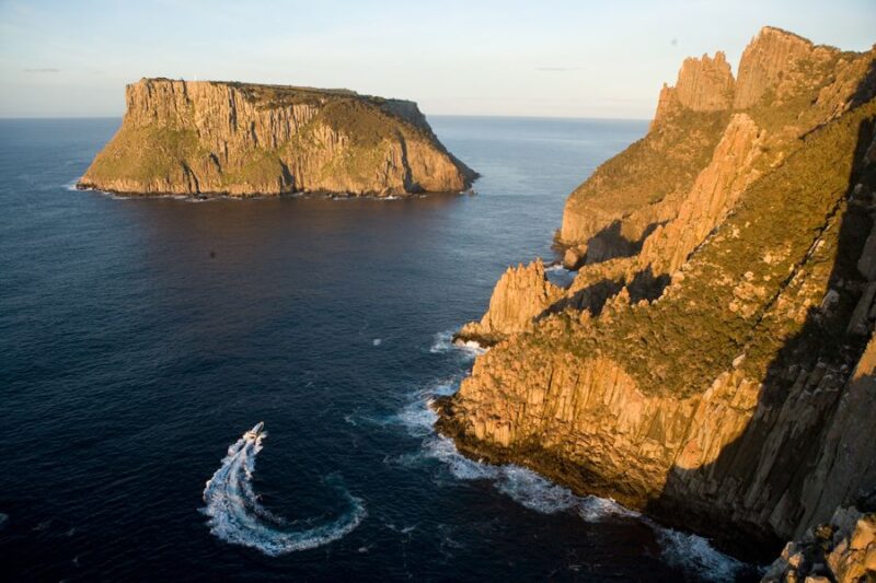 Tasman Peninsula Tour, Cruise & Port Arthur Historic Site - Wildlife Sightings