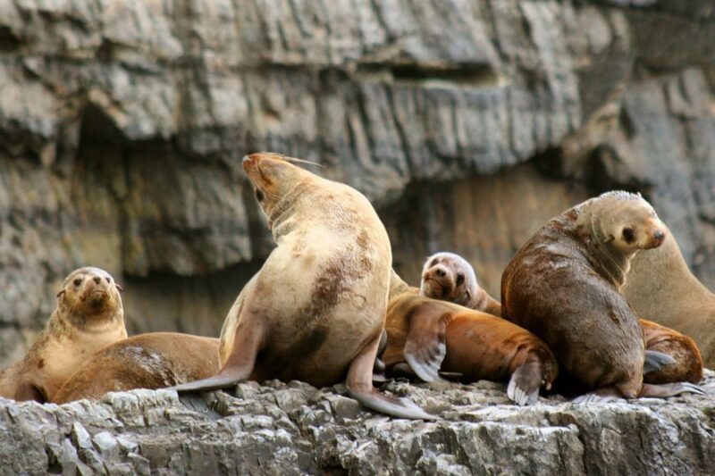 Tasman Peninsula Tour, Cruise & Port Arthur Historic Site - Port Arthur Historic Site