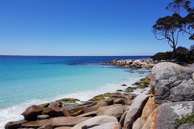 Tasmania 5 Day East Coast Tour - Group Size and Reviews