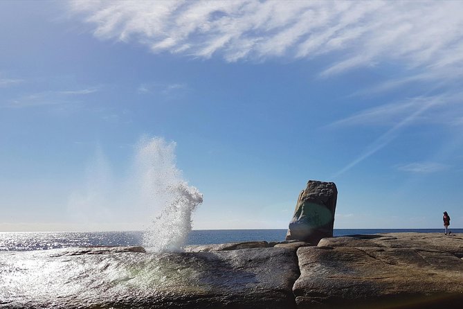 Tasmania 5 Day East Coast Tour - Itinerary Highlights