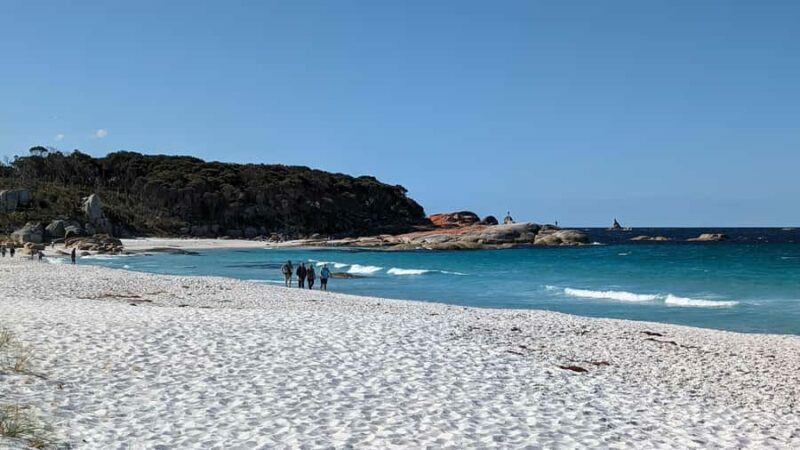 Tasmania: 6-Day Comfort Tour for Wilderness and Wildlife - Final Words