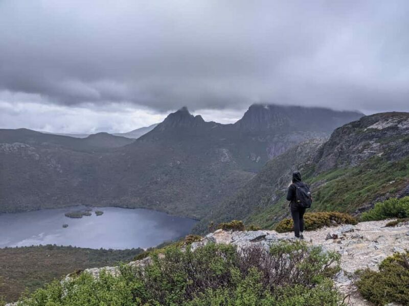 Tasmania: 7-Day West to East Tour - Reviews: What Past Travelers Say