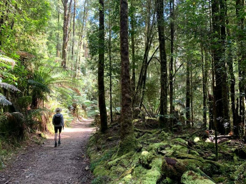 Tasmania: 7-Day West to East Tour - Final Thoughts