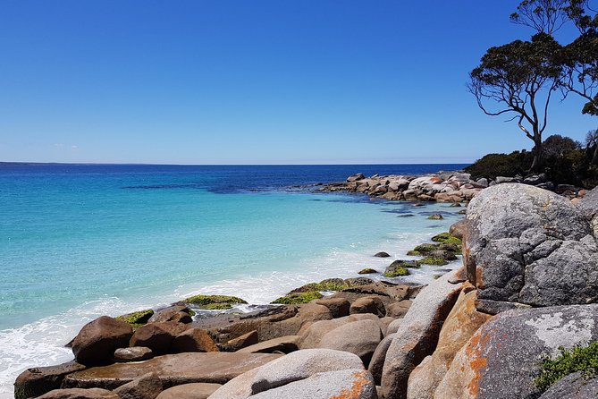 Tasmania 8 Day - Tour in Circle - Tastings and Activities