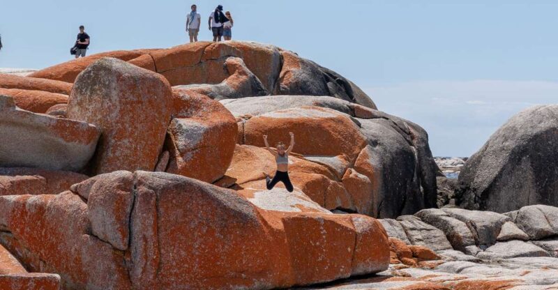 Tasmania West to East and More in 7 Super Days - Highlights of the Tour