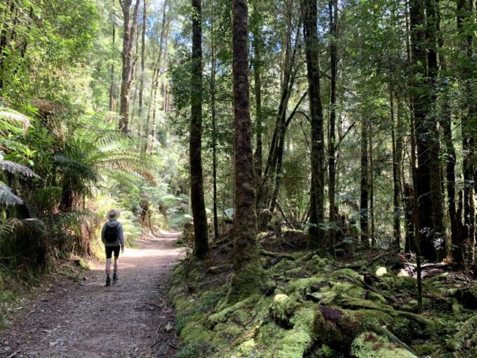 Tasmania West to East and More in 7 Super Days - Frequently Asked Questions