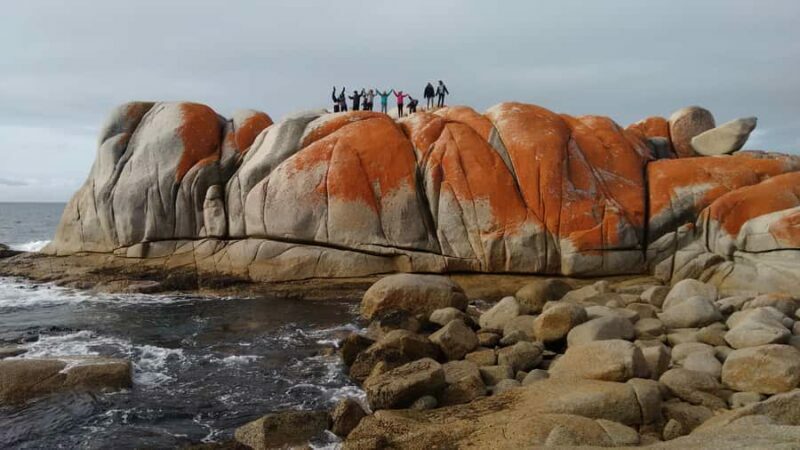 Tasmania: Wilderness and Wildlife Guided 6-Day Tour - A Detailed Look at Your 6-Day Tasmanian Adventure