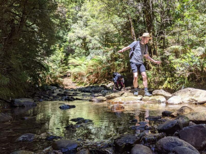 Tasmania: Wilderness and Wildlife Guided 6-Day Tour - Frequently Asked Questions